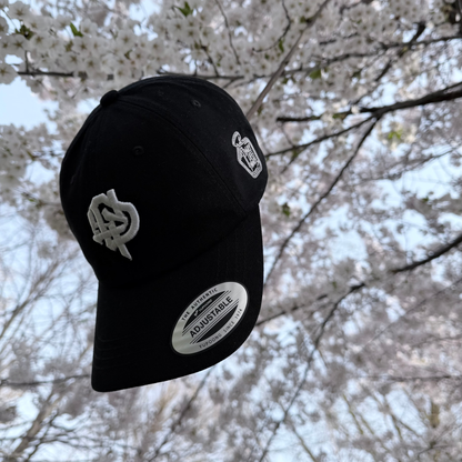 Classic "DLN" 6-Panel